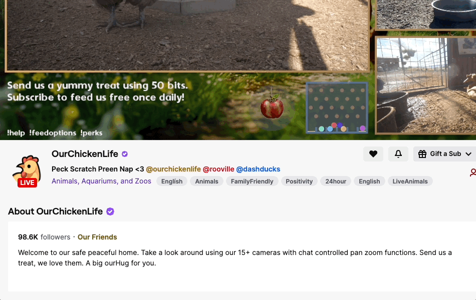 Animated demo of a viewer hovering a tagged channel name and revealing the channel hover card with a follow action.